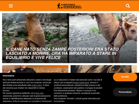 'ilmiocaneleggenda.it' screenshot