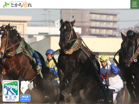 'tokachibare.jp' screenshot