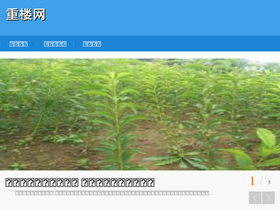'clgwe.com' screenshot