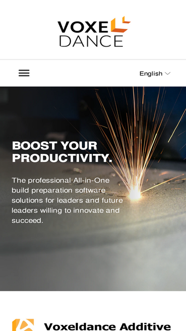 voxeldance.com
