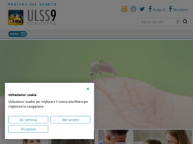 'episcreenpro.aulss9.veneto.it' screenshot