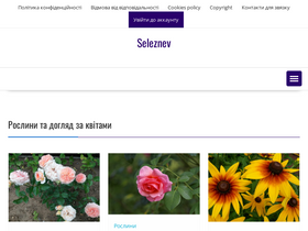 'seleznev.com.ua' screenshot
