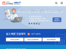 'brmh.org' screenshot