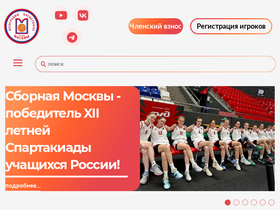 'mosbasket.ru' screenshot