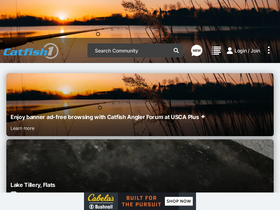 'catfish1.com' screenshot