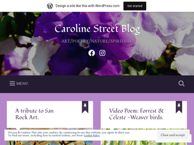 carolinestreetblog.wordpress.com