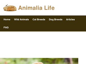 'animalia-life.club' screenshot