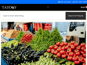 tatogy.com homepage screenshot