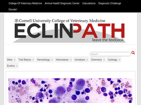 'eclinpath.com' screenshot