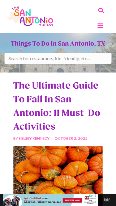 thesanantoniothings.com