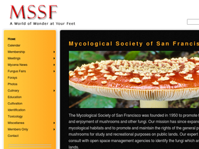 mssf.org