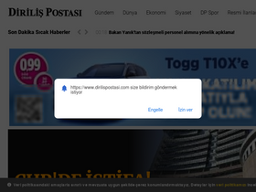 'dirilispostasi.com' screenshot