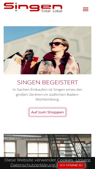 in-singen.de
