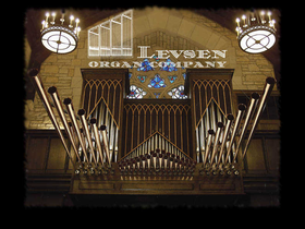 levsenorg.com