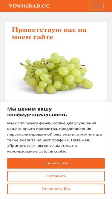 vinograd.cc