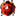 coccinellidae.cl