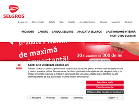 'selgros.ro' screenshot