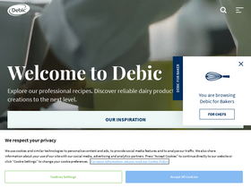 'debic.com' screenshot