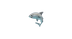 sharkheads.com