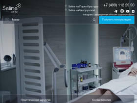 'seline.ru' screenshot