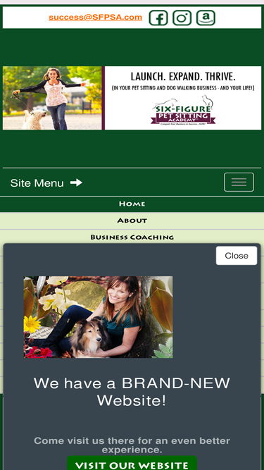 sixfigurepetsittingacademy.com