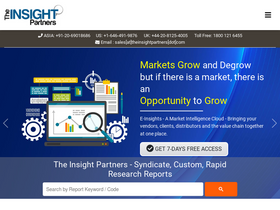 'theinsightpartners.com' screenshot
