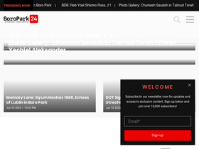 'boropark24.com' screenshot