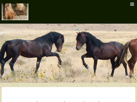 tribeequus.com