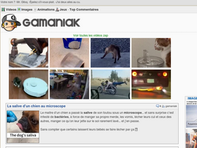 'gamaniak.com' screenshot
