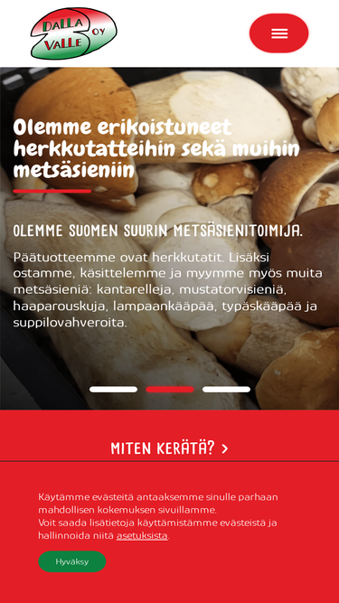 dallavalle.fi