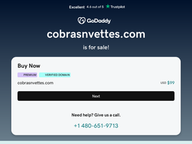 cobrasnvettes.com