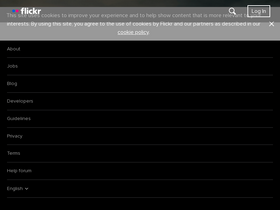 m.flickr.com