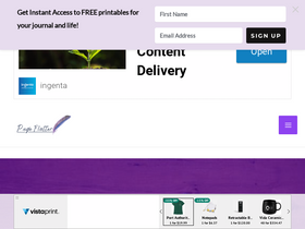 'pageflutter.com' screenshot