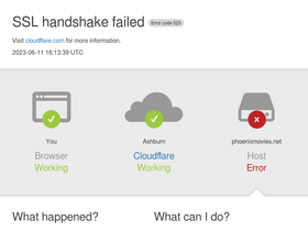 'phoenixmovies.net' screenshot