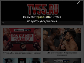 'tv55.ru' screenshot