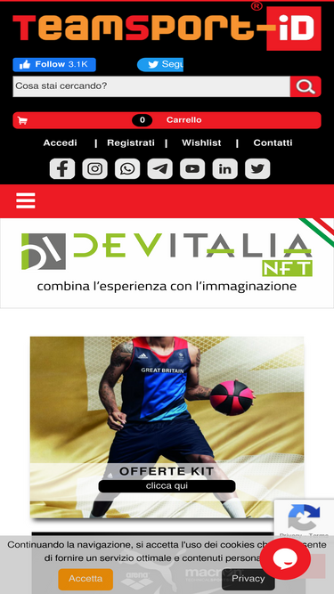 teamsport-id.com