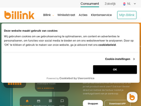 'billink.nl' screenshot
