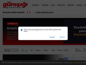 'gunisigigazetesi.net' screenshot