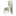 b2cfurniture.com.au