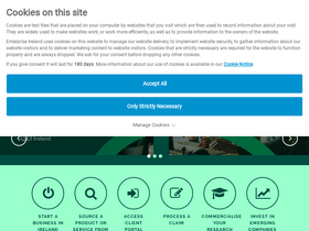 'enterprise-ireland.com' screenshot