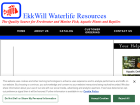 ekkwill.com