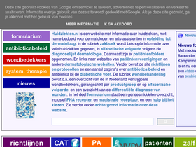 'huidziekten.nl' screenshot