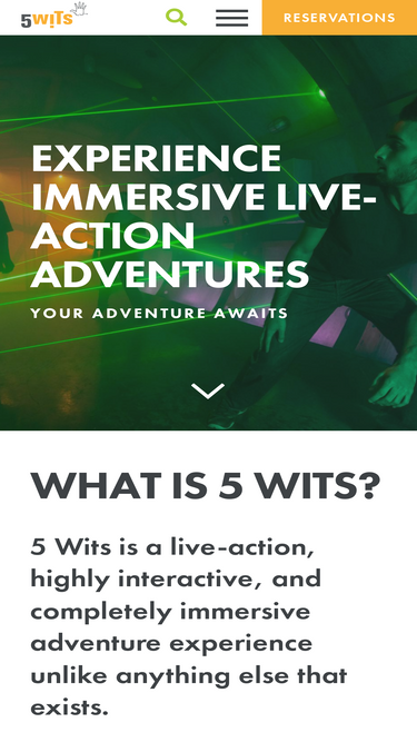 5-wits.com