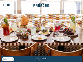 hotelpanache.com