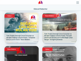 'toraks.org.tr' screenshot