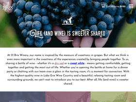 21brix.com homepage screenshot