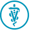 franklinvetclinic.com