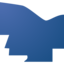 rocairport.com