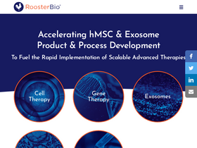 roosterbio.com