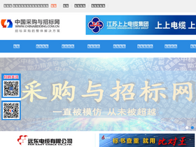 'chinabidding.com.cn' screenshot